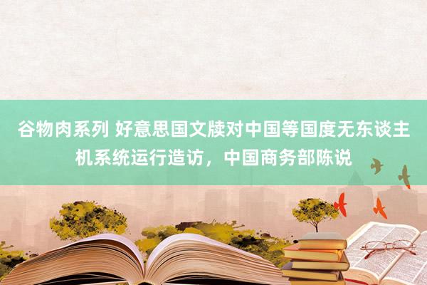 谷物肉系列 好意思国文牍对中国等国度无东谈主机系统运行造访，中国商务部陈说