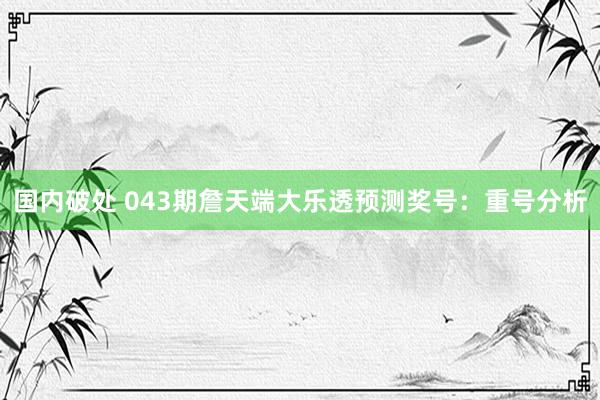 国内破处 043期詹天端大乐透预测奖号：重号分析