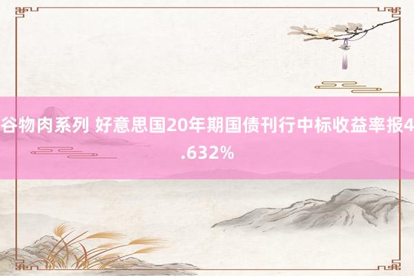 谷物肉系列 好意思国20年期国债刊行中标收益率报4.632%