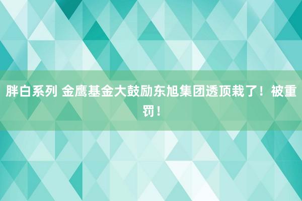 胖白系列 金鹰基金大鼓励东旭集团透顶栽了！被重罚！
