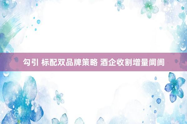 勾引 标配双品牌策略 酒企收割增量阛阓