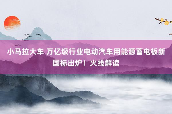 小马拉大车 万亿级行业电动汽车用能源蓄电板新国标出炉！火线解读