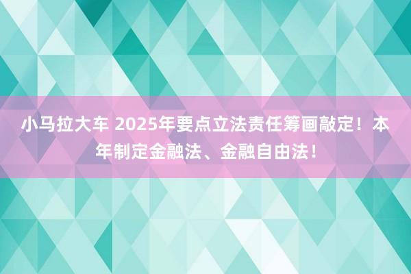 小马拉大车 2025年要点立法责任筹画敲定！本年制定金融法、金融自由法！